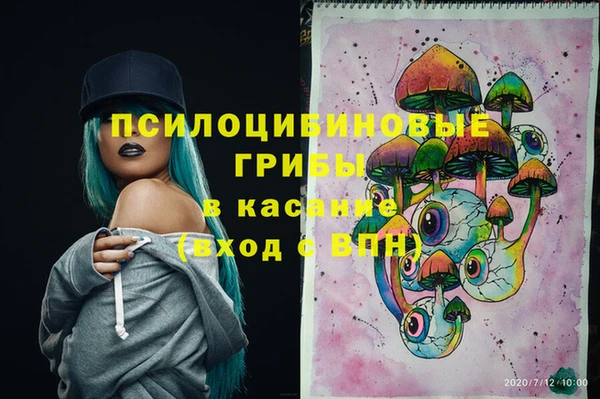 бошки Абаза
