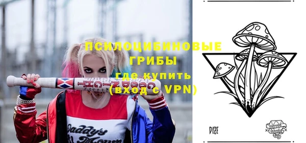 бошки Абаза