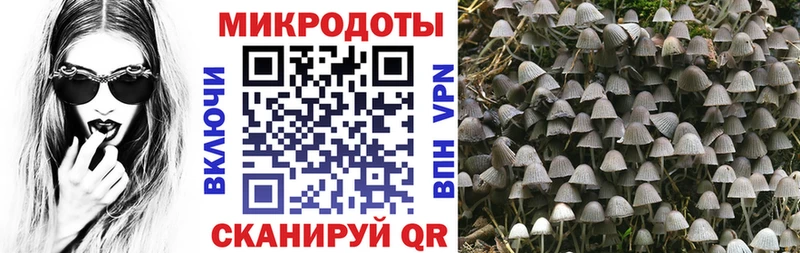 что такое наркотик  Егорьевск  MEGA   Псилоцибиновые грибы Magic Shrooms 