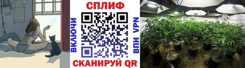 kraken как войти  Егорьевск  Шишки марихуана конопля 